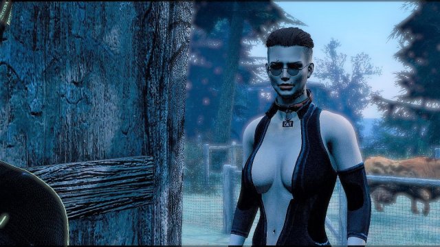 Fallout4 2022-12-23 22-40-07.jpg