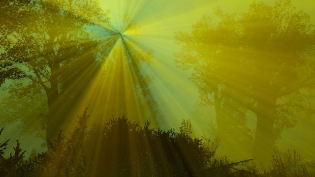 Fallout4 2022-12-23 17-25-21.jpg