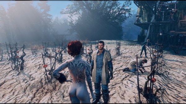 Проверяем как живут поселенцы.. Fallout-4