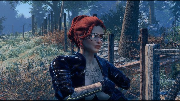 Вамп у дачного забора.. Fallout-4 (Сборка 7.5)