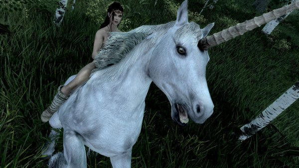 SkyrimAE 2023-02-12 14-42-04-35