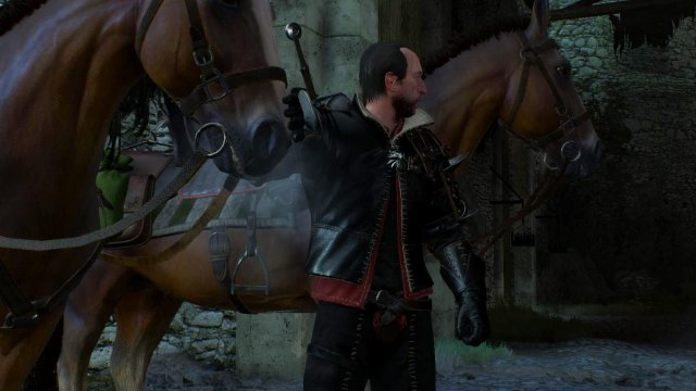 witcher3 2022-01-19 22-51-35-92.jpg