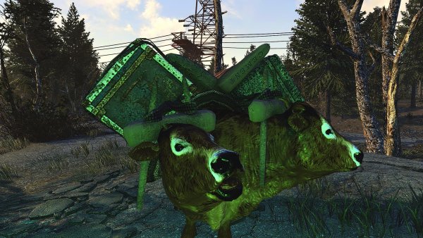 71 Брамин - Муу-уу-у-у-у.jpg