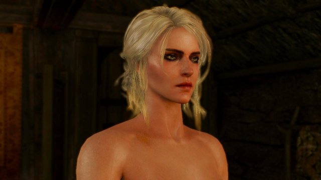 +witcher3 2022-01-11 22-26-02-29.jpg