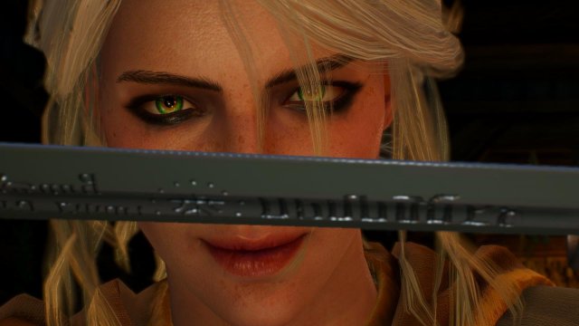 witcher3 2022-01-21 23-13-51-03.jpg