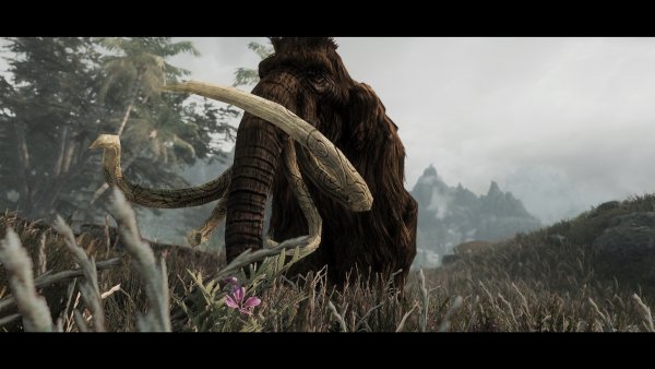 SkyrimAE 2023-04-07 20-33-05-46