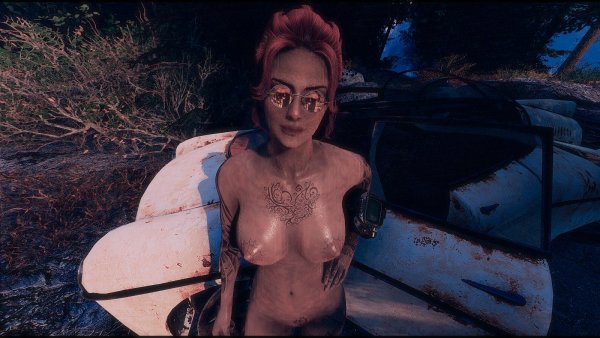 dirt.. Fallout-4 (Сборка 7.5)