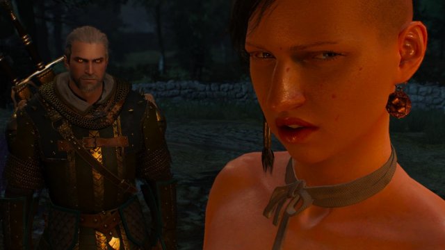witcher3 2022-02-11 22-43-28-14.jpg