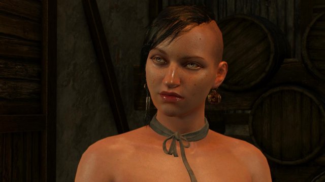 witcher3 2022-02-12 00-15-38-40.jpg