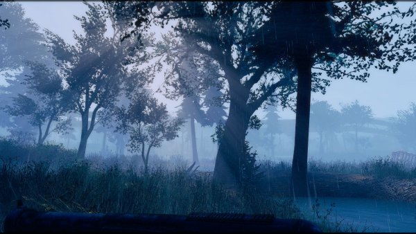 ТУМАННЫЕ ПОГОДЫ..