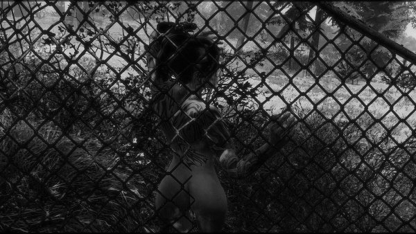 В ч/б тонах.. Fallout-4 (Сборка 7.5)