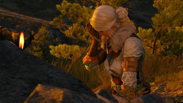 witcher3 2022-01-21 20-46-26-86.jpg