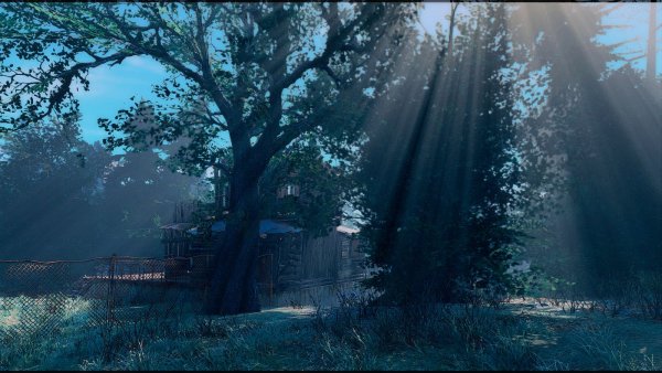 Хижина в лесу.. Poselenia Windfire Fallout-4