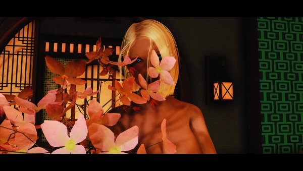 SkyrimAE 2023-07-25 18-43-01-69