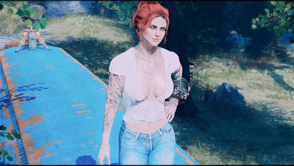 Вамп на крыше грузовика.. Fallout-4