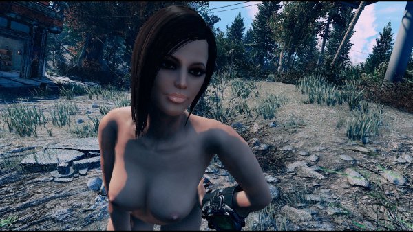 Fallout-4 (Сборка 8.5)