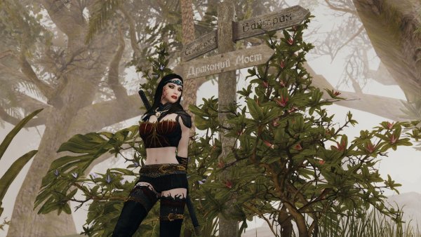 Дальше - туда.. Skyrim SE (Тропики 7.0)