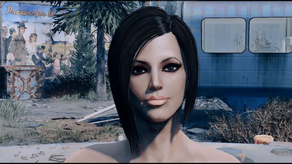 ... Fallout-4 (Сборка 8.5)