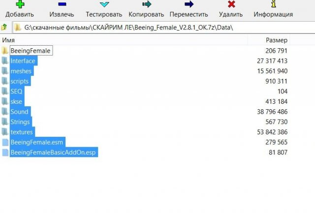 БЕНИНГ ФЕМЕЛИ 2 8 1.JPG