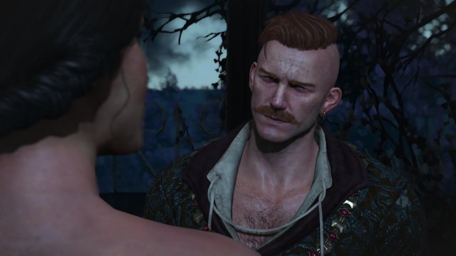 witcher3 2022-04-21 22-02-25-44.jpg