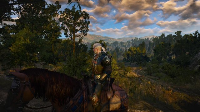witcher3 2022-04-21 23-08-45-98.jpg
