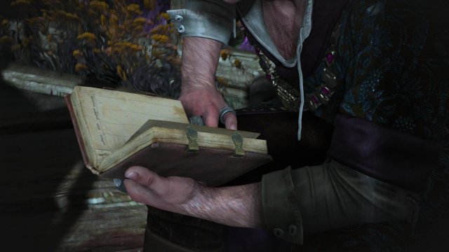 witcher3 2022-04-21 22-01-32-38.jpg