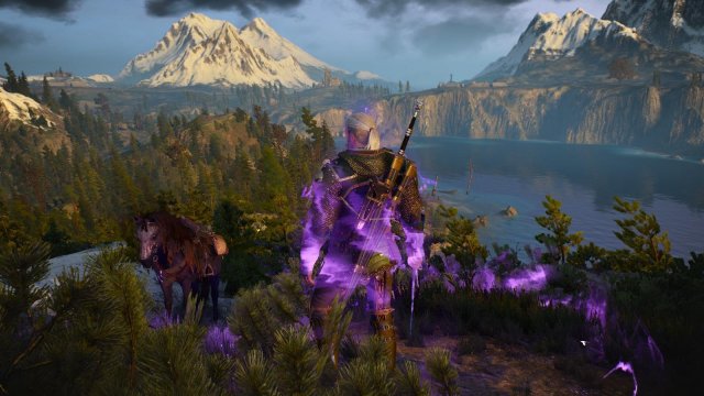 witcher3 2022-04-26 22-02-35-43.jpg