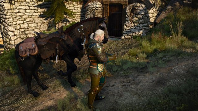 witcher3 2022-04-26 21-56-01-55.jpg