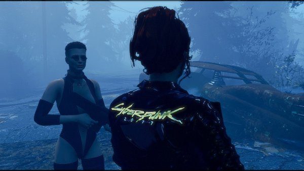 Вамп и Кейт где-то на дороге.. Fallout-4 (Сборка 7.5)