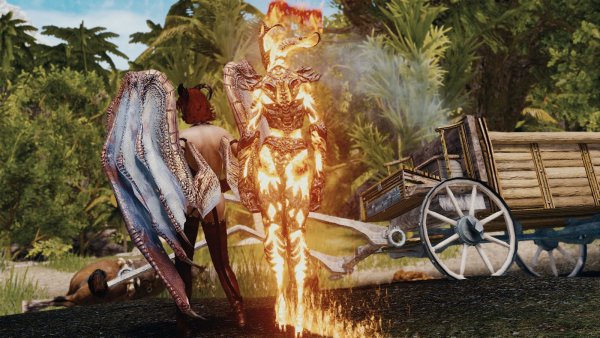 Корти: это не мы. Skyrim SE (Тропики 7.0)