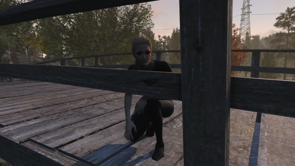 Алина выглядывает с моста