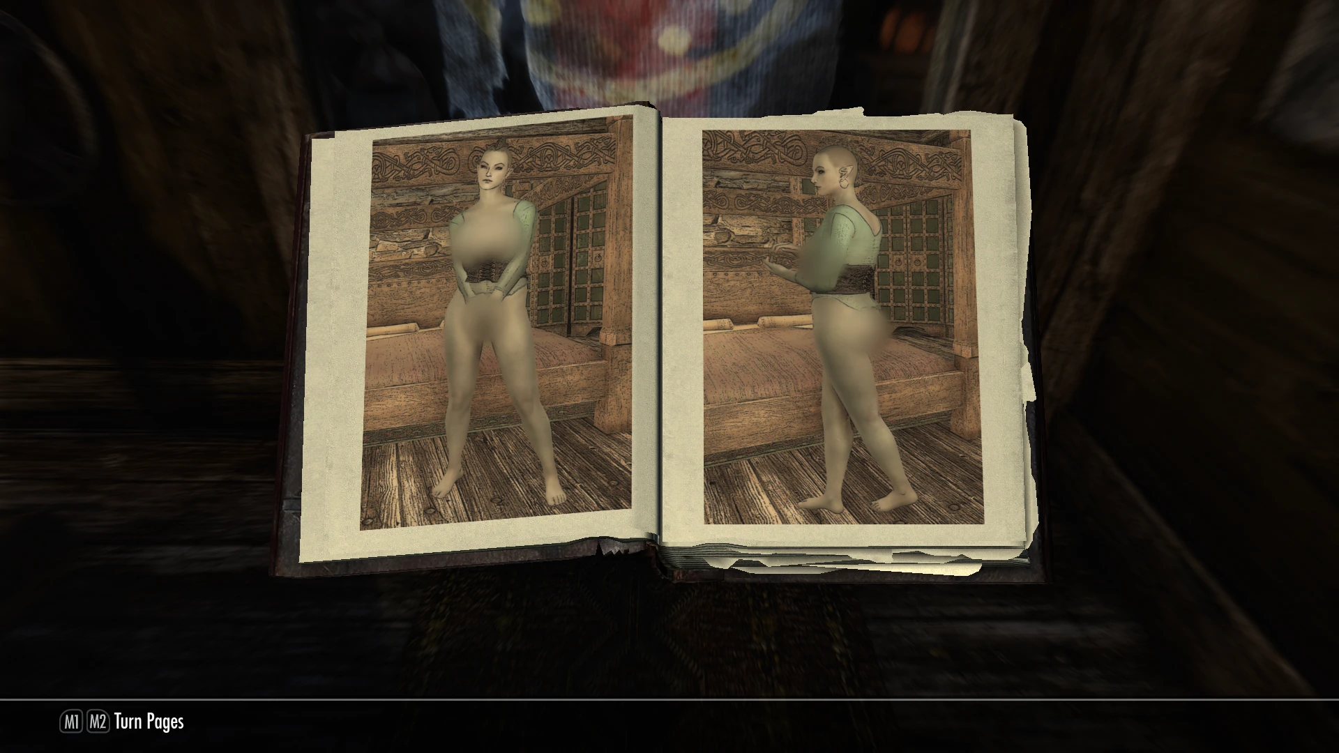 The discrets - Skyrim Adult Books Series Windhelm SE и LE Rus