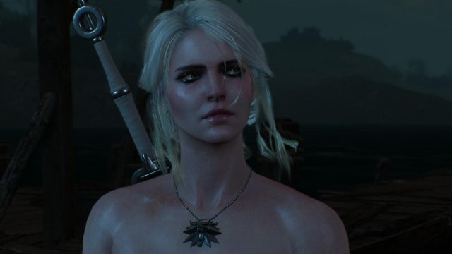 witcher3 2022-01-19 23-52-57-93.jpg