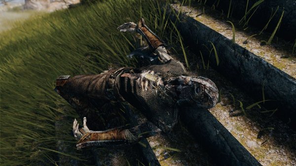 Уставший драугр.. Skyrim SE (Тропики 7.0)