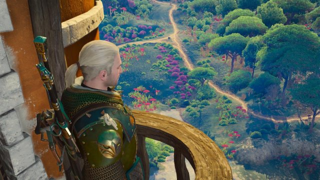 witcher3 2022-02-10 23-34-40-73.jpg