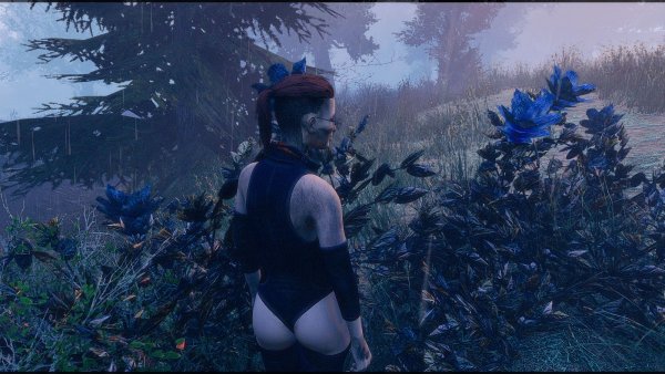 Кейт в цветах.. Fallout-4 (Сборка 7.5)