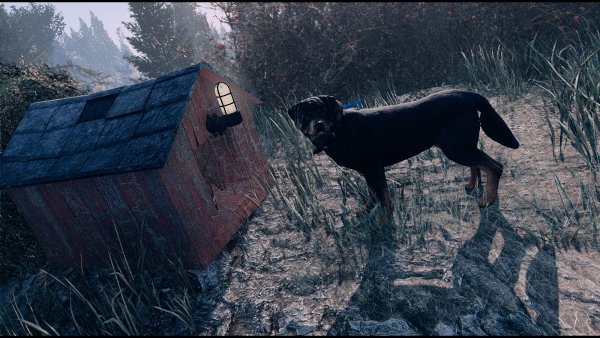 Пес.. Fallout-4 (Сборка 9.0)