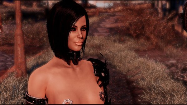 Вечереет.. Fallout-4 (Сборка 9.0)