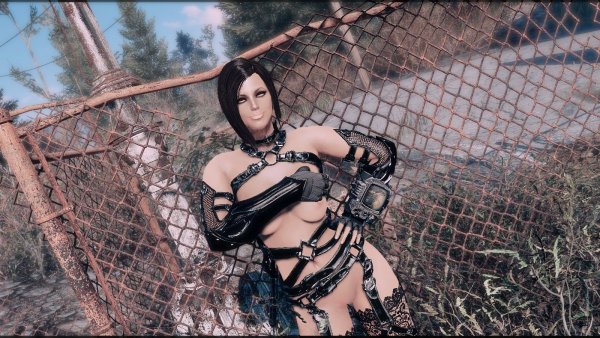 В теплый день.. Fallout-4 (Сборка 8.5)