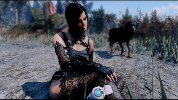 Нора отдыхает, но теперь пес идет здороваться ))