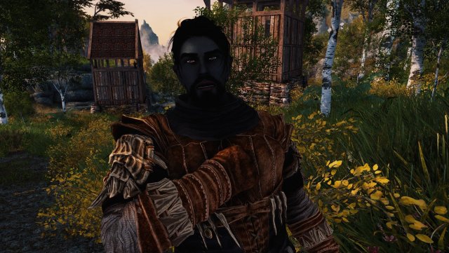 The Elder Scrolls V  Skyrim Special Edition Screenshot 2024.01.22 - 18.52.46.41.jpg