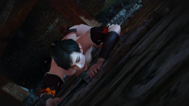 witcher3 2022-04-21 20-17-06-48.jpg