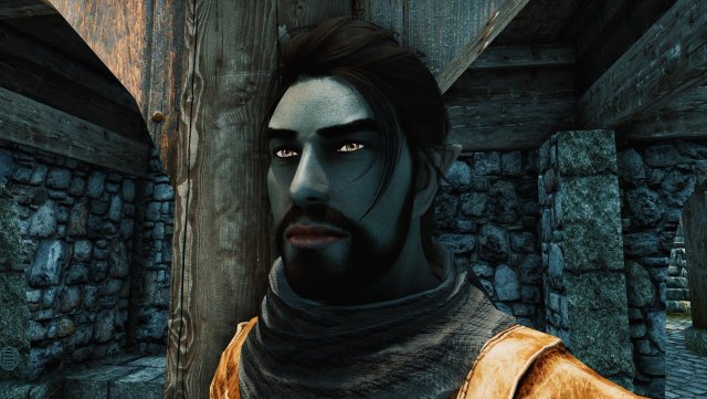 The Elder Scrolls V  Skyrim Special Edition Screenshot 2024.01.22 - 18.29.32.92.jpg