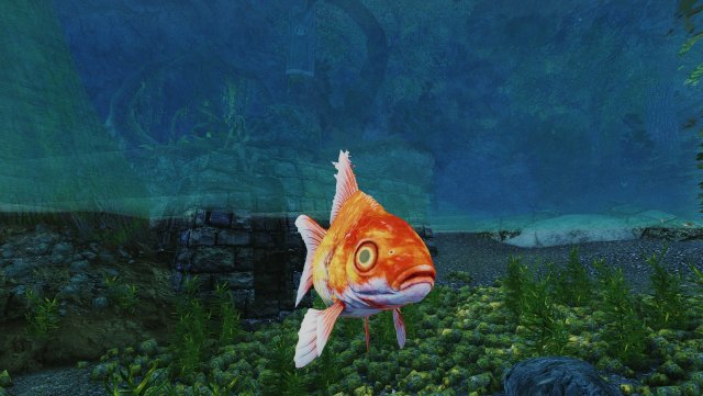 The Elder Scrolls V  Skyrim Special Edition Screenshot 2024.01.15 - 15.01.49.45.jpg