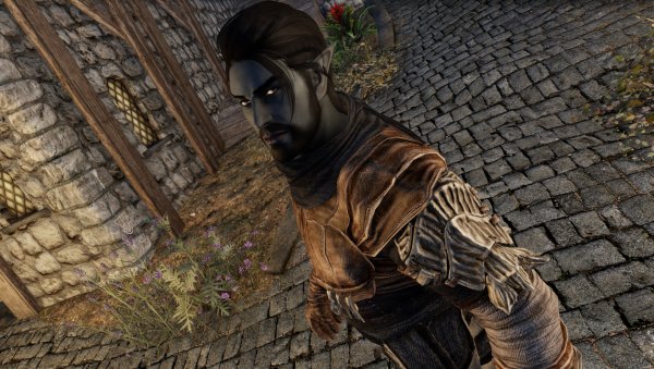 SkyrimAE Мутный тип