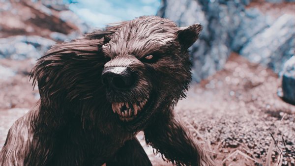 Симпатяга вербер.. Sexrim AE (Тропики 12)