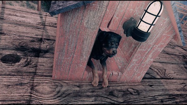 Домик песеля. Poselenia Windfire Fallout-4