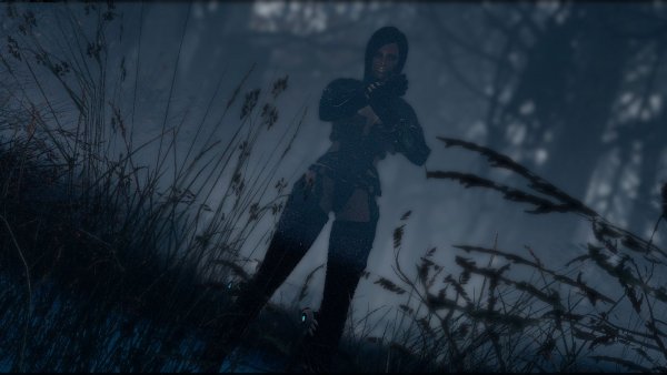 Сумеречный лес.. Fallout-4 (Сборка 9.0)