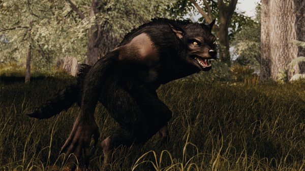 Рауф в форме зверя.. Sexrim AE (Тропики 12)