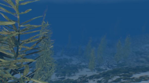 Под водой.. Sexrim AE (Тропики 12)